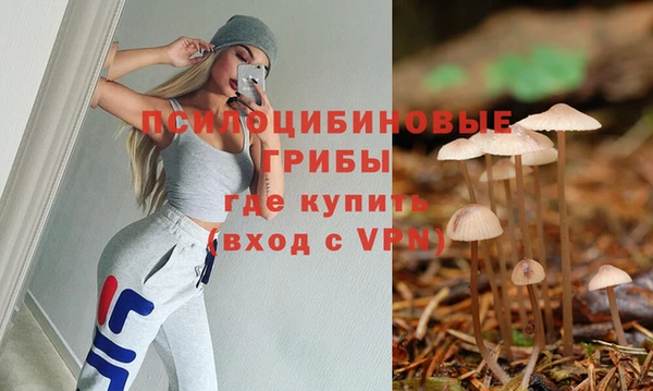 соль ск Магас