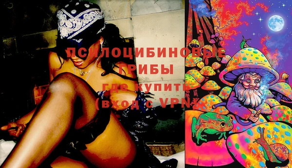 PSILOCYBIN Лиски