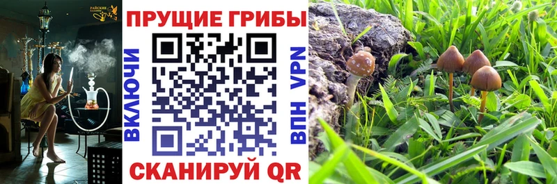 Псилоцибиновые грибы GOLDEN TEACHER мориарти Telegram Николаевск